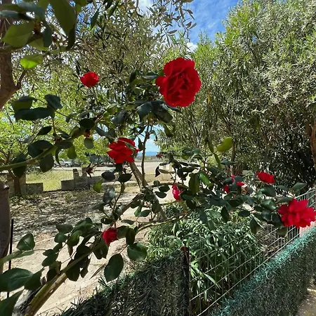 Azzurra Fronte Mare Casa vacanze