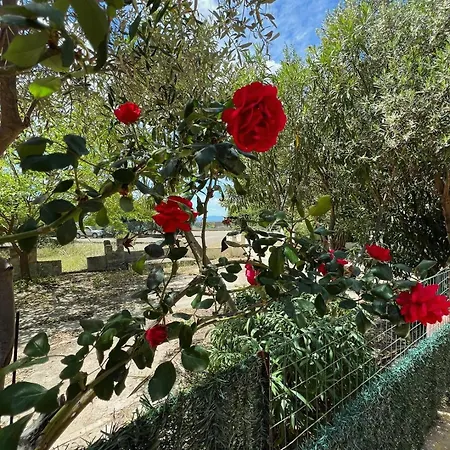 Azzurra Fronte Mare Ferienhaus
